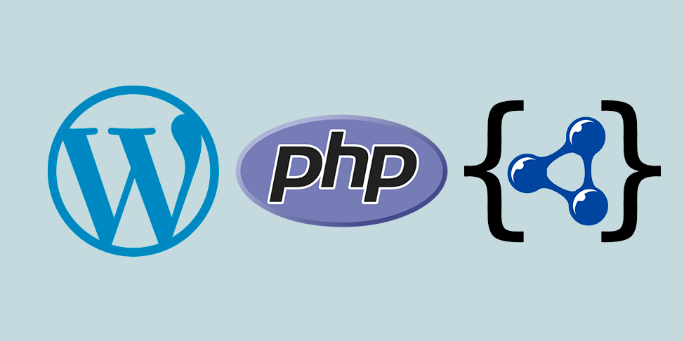 Wordpress Construir Páginas SEO PHP Schema